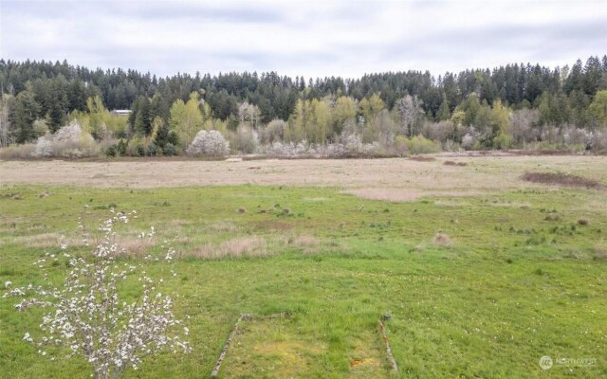 Picture of Residential Land For Sale in Buckley, Washington, United States