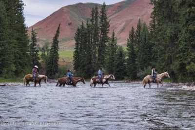 Residential Land For Sale in Kelly, Wyoming