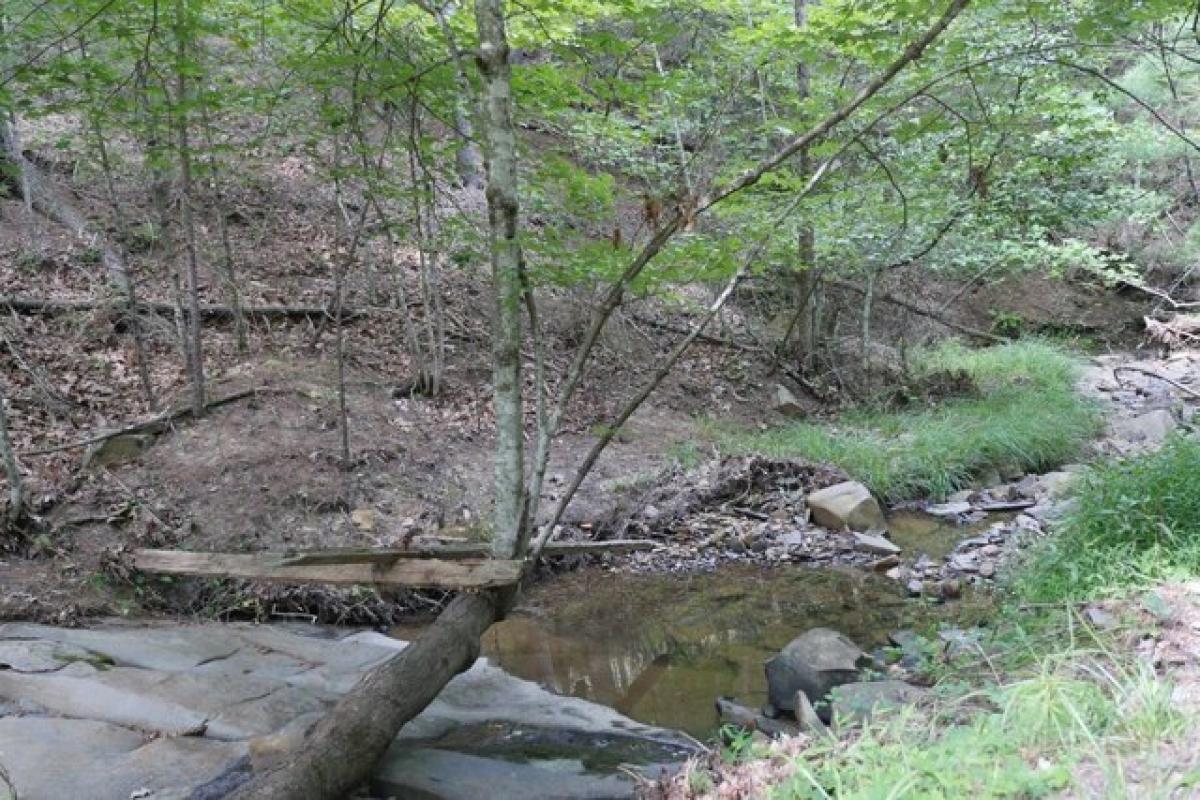 Picture of Home For Sale in Max Meadows, Virginia, United States