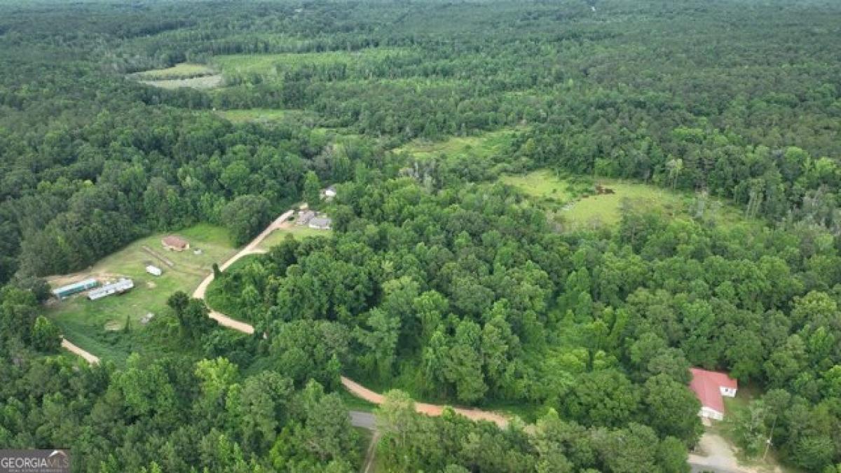 Picture of Residential Land For Sale in Tuskegee, Alabama, United States