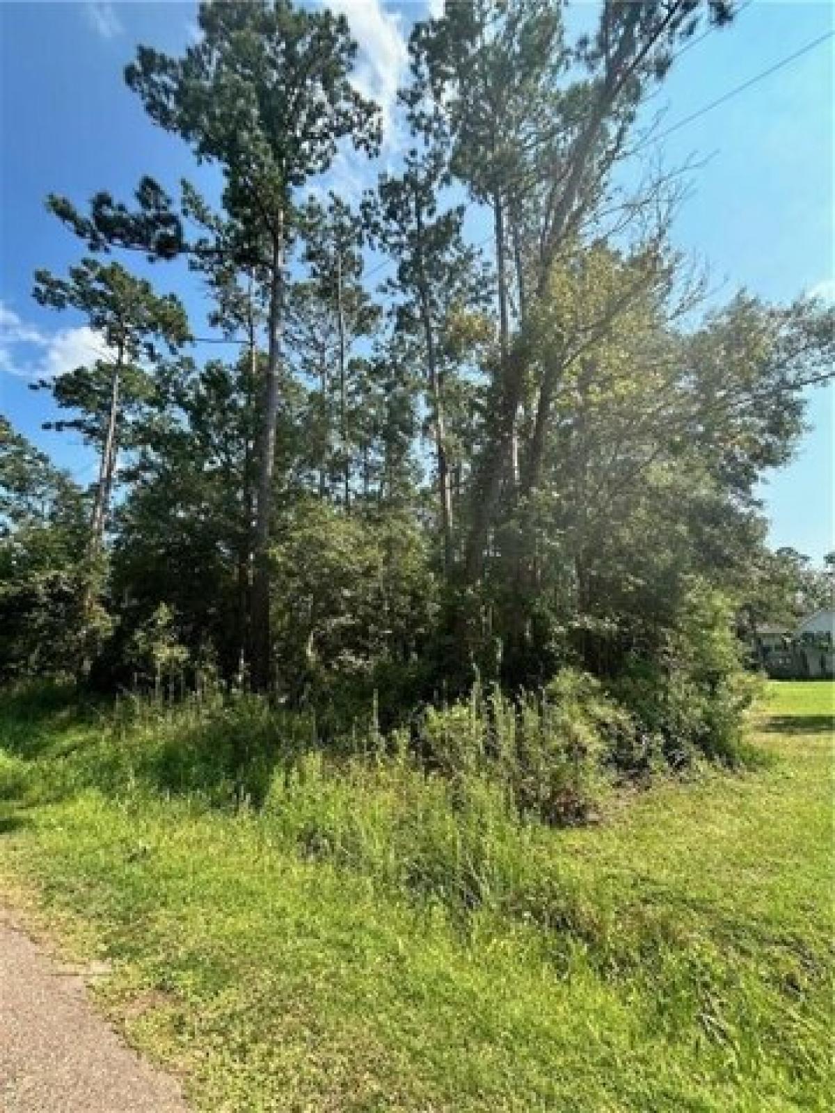 Picture of Residential Land For Sale in Lacombe, Louisiana, United States