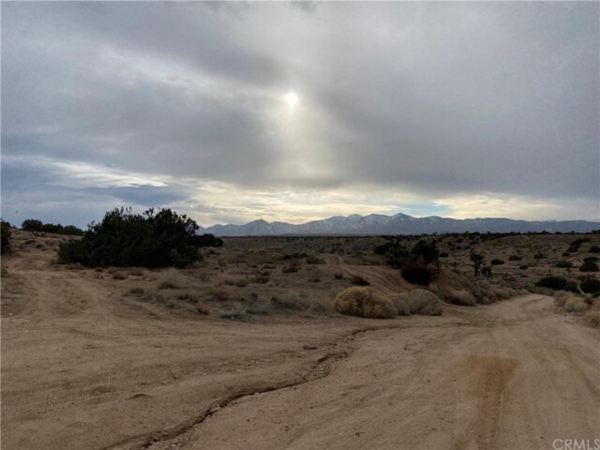 Picture of Residential Land For Sale in Adelanto, California, United States