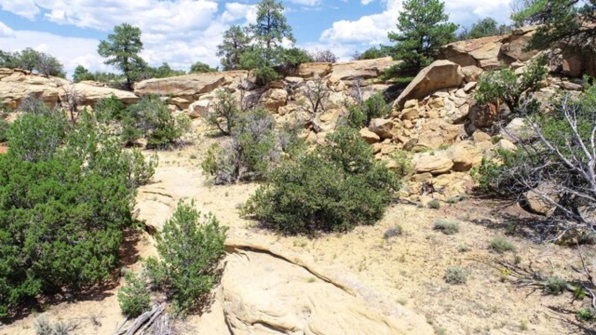 Picture of Residential Land For Sale in Cuba, New Mexico, United States