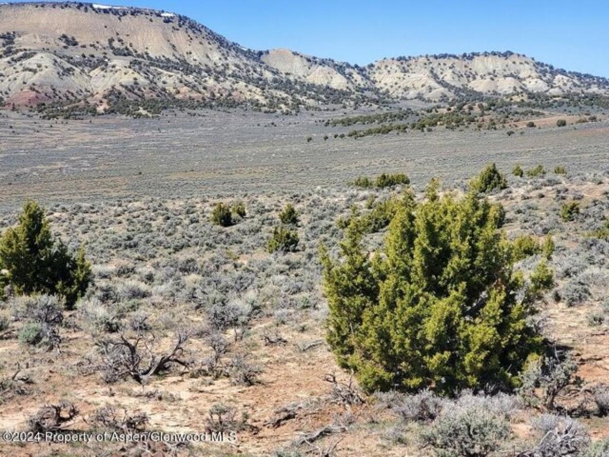 Picture of Residential Land For Sale in Maybell, Colorado, United States