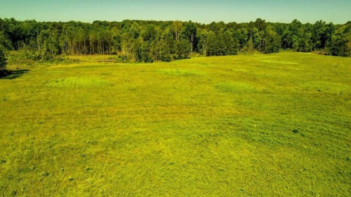 Picture of Residential Land For Sale in Purvis, Mississippi, United States