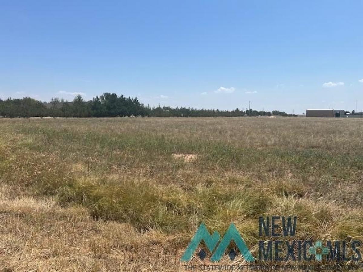 Picture of Residential Land For Sale in Clovis, New Mexico, United States