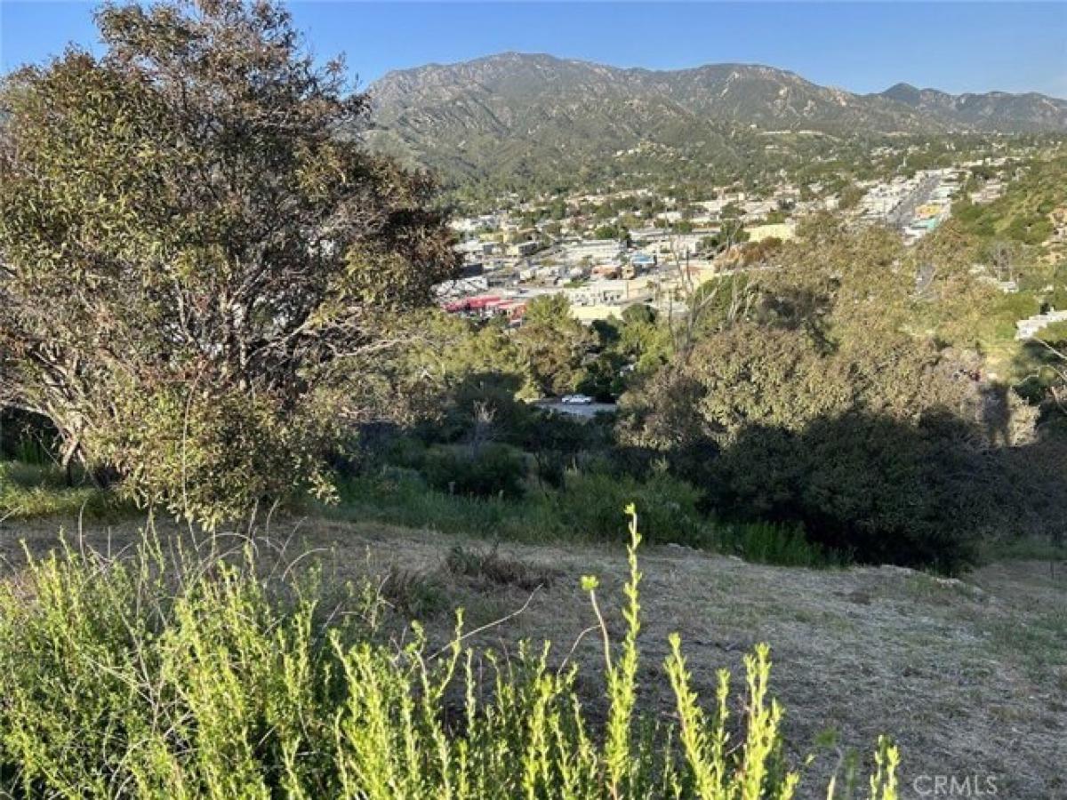 Picture of Residential Land For Sale in Tujunga, California, United States