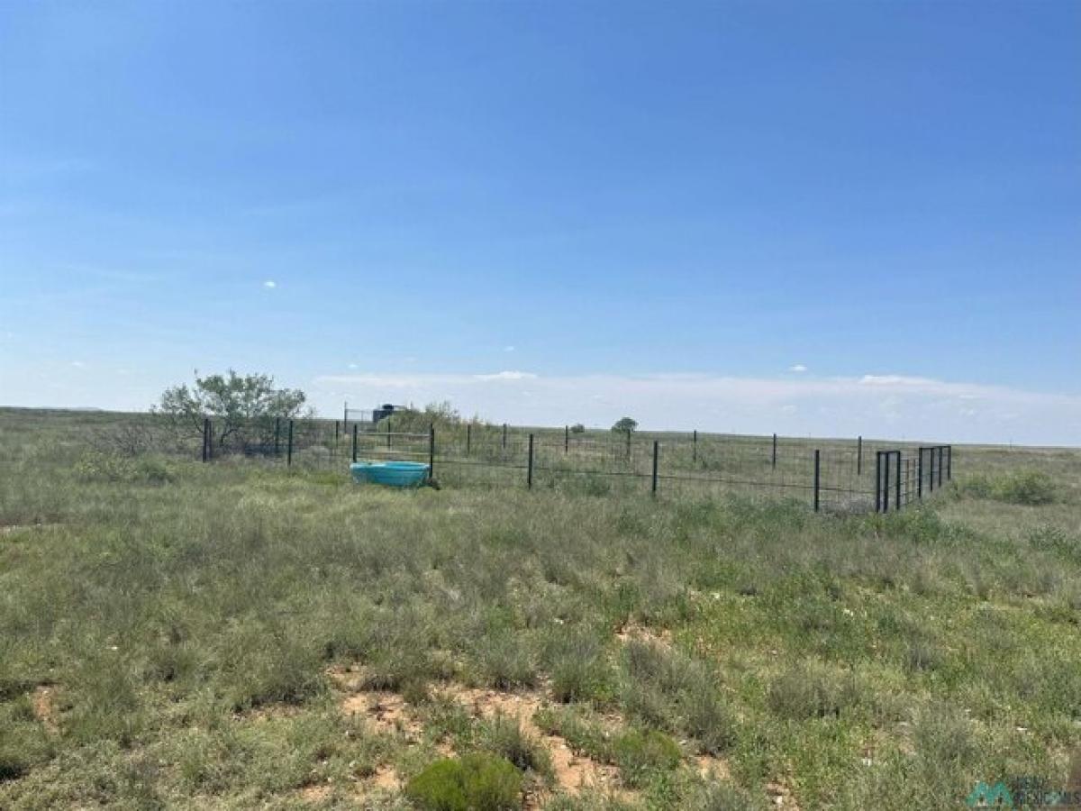 Picture of Residential Land For Sale in Fort Sumner, New Mexico, United States