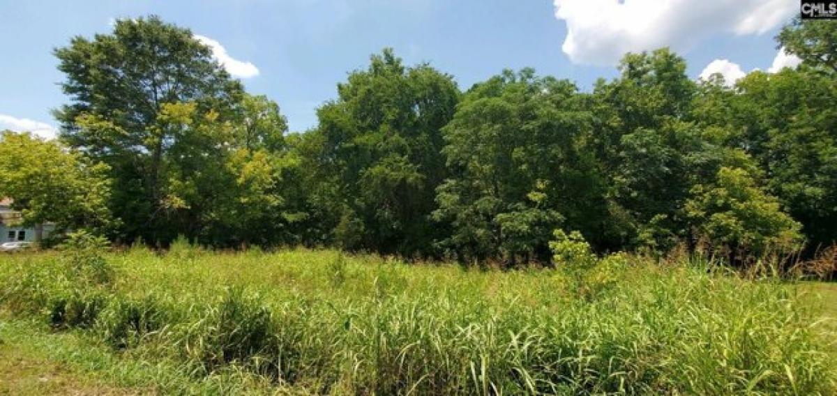 Picture of Residential Land For Sale in Newberry, South Carolina, United States