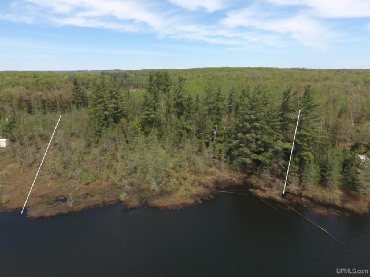 Picture of Residential Land For Sale in Michigamme, Michigan, United States