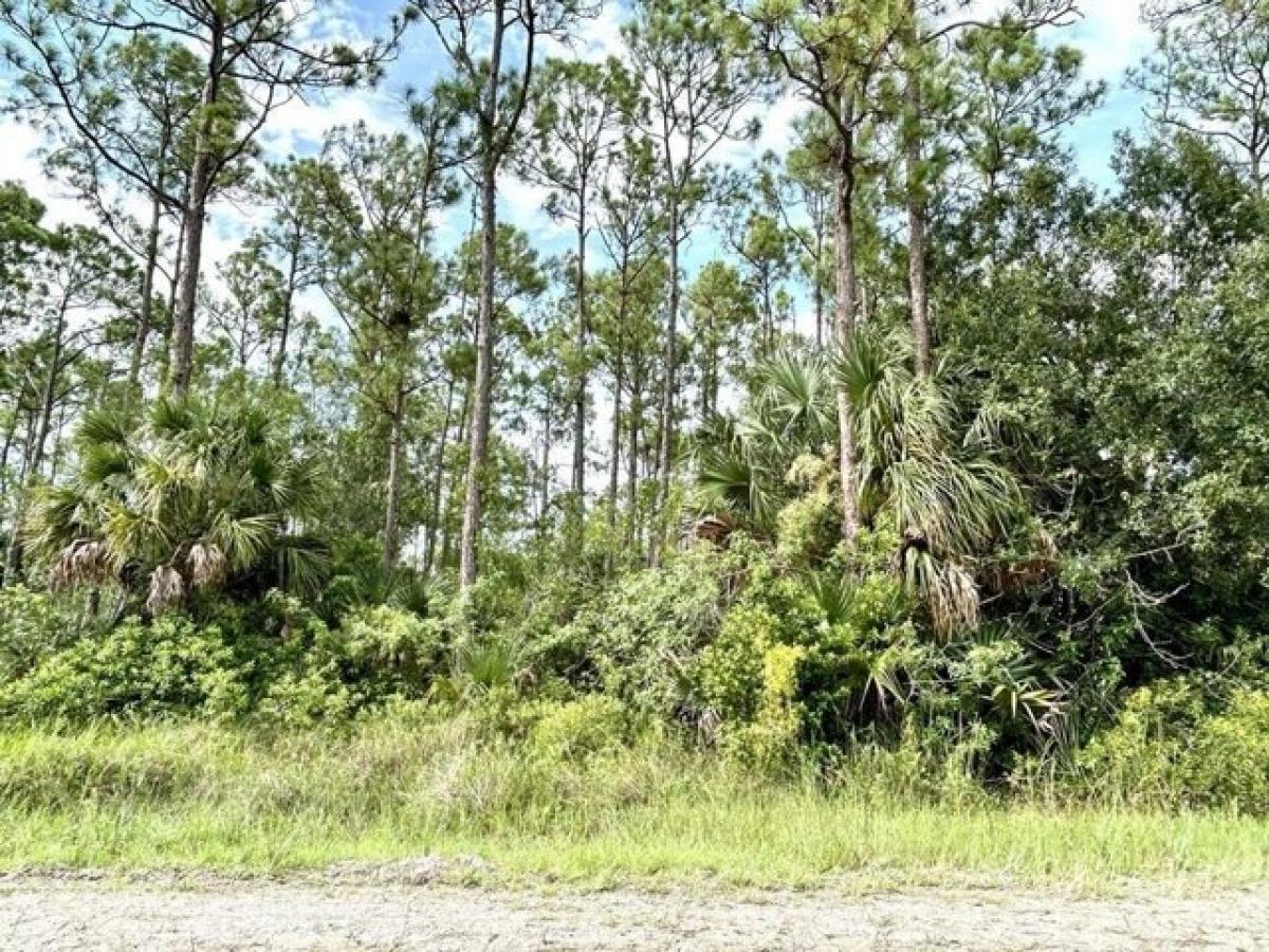 Picture of Residential Land For Sale in Clewiston, Florida, United States