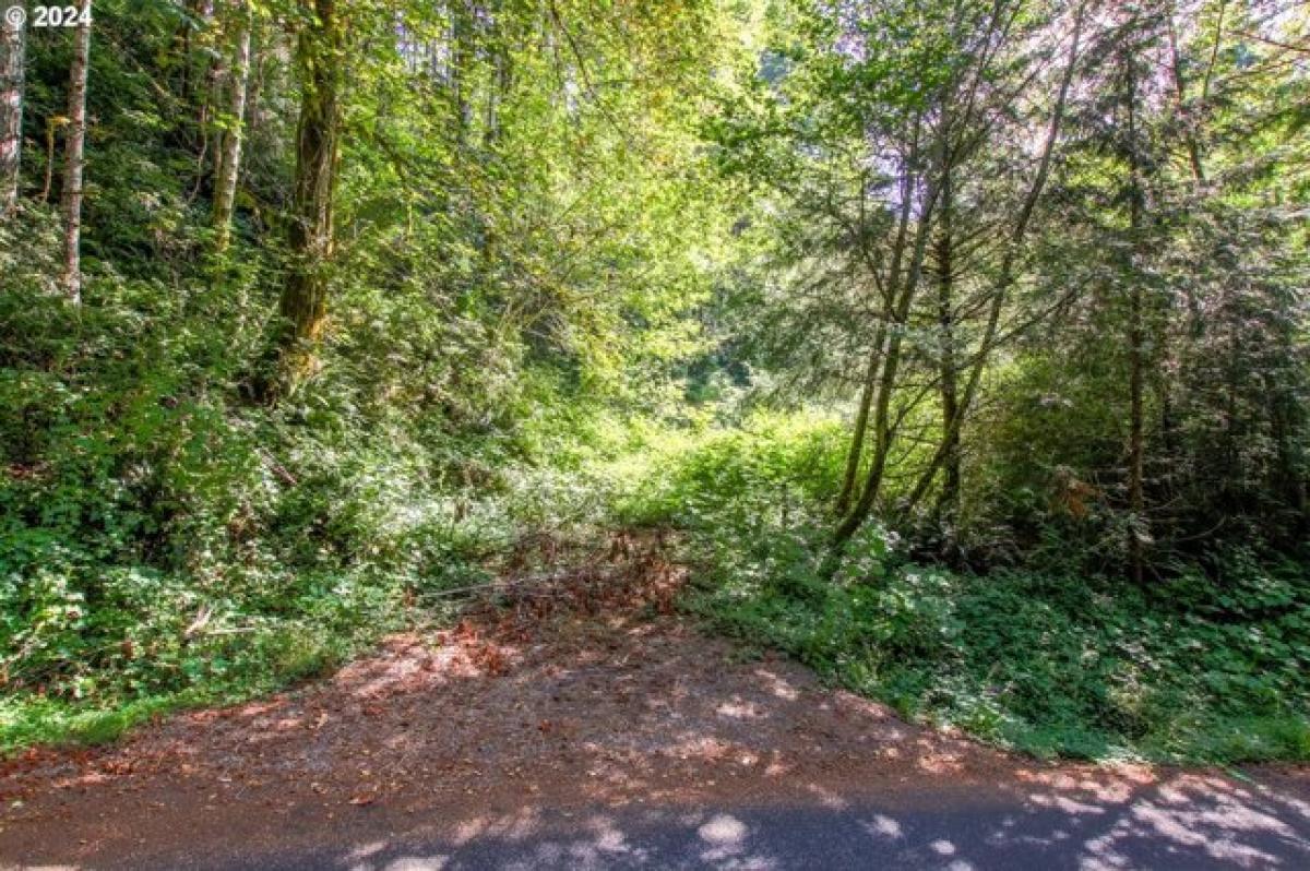 Picture of Residential Land For Sale in Florence, Oregon, United States