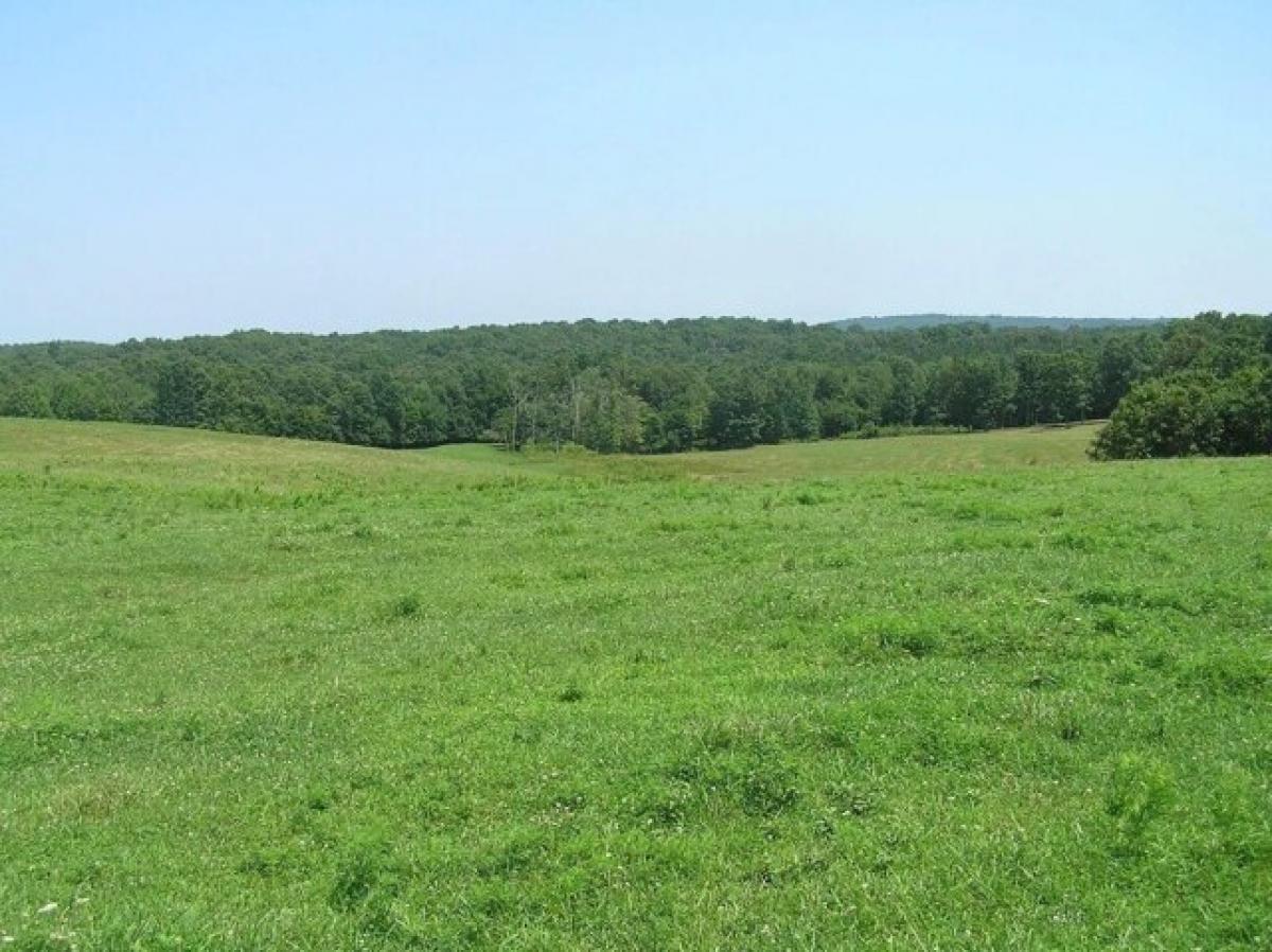 Picture of Residential Land For Sale in Mcminnville, Tennessee, United States