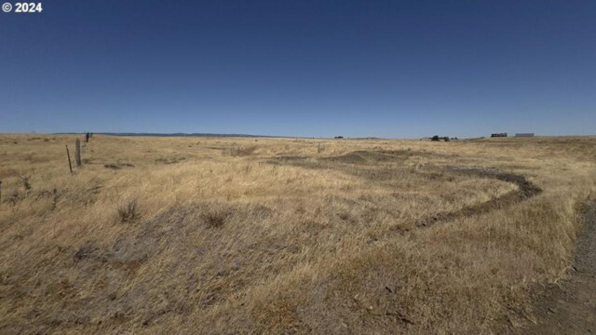 Picture of Residential Land For Sale in Goldendale, Washington, United States