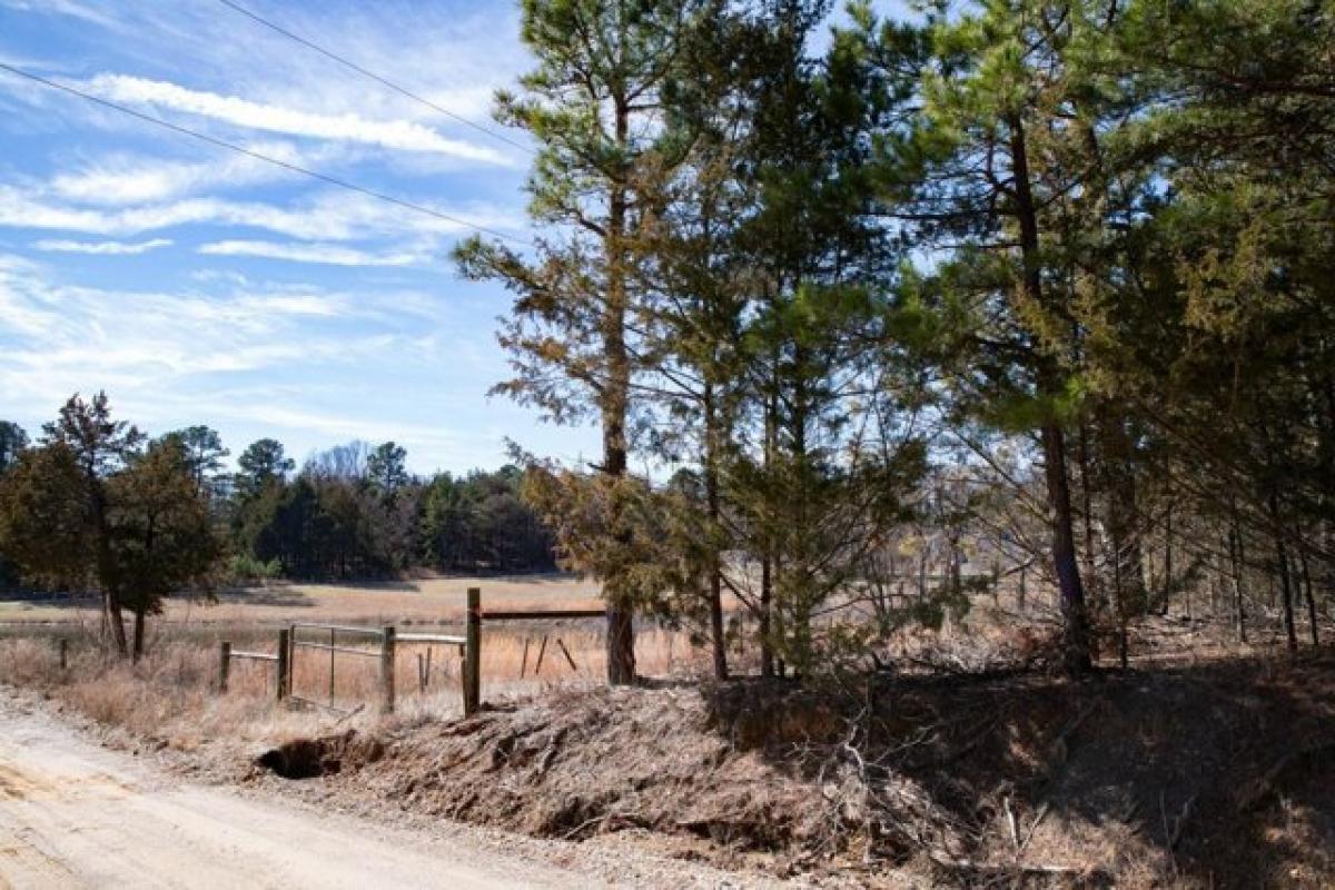 Picture of Residential Land For Sale in Mountain View, Arkansas, United States