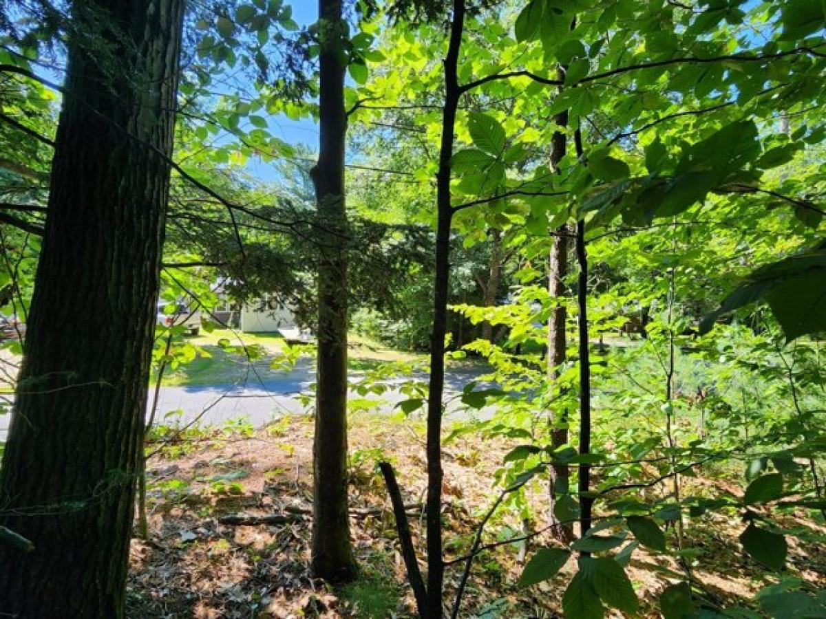 Picture of Residential Land For Sale in Jay, Maine, United States