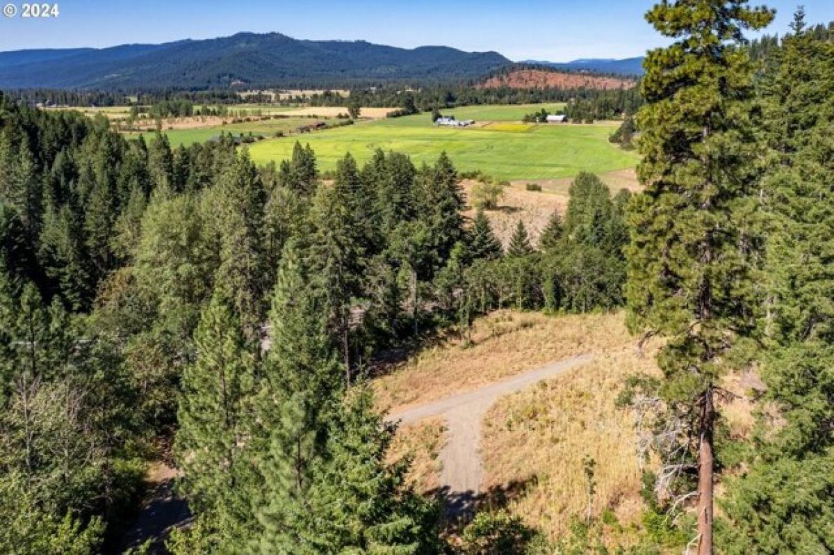 Picture of Residential Land For Sale in Trout Lake, Washington, United States