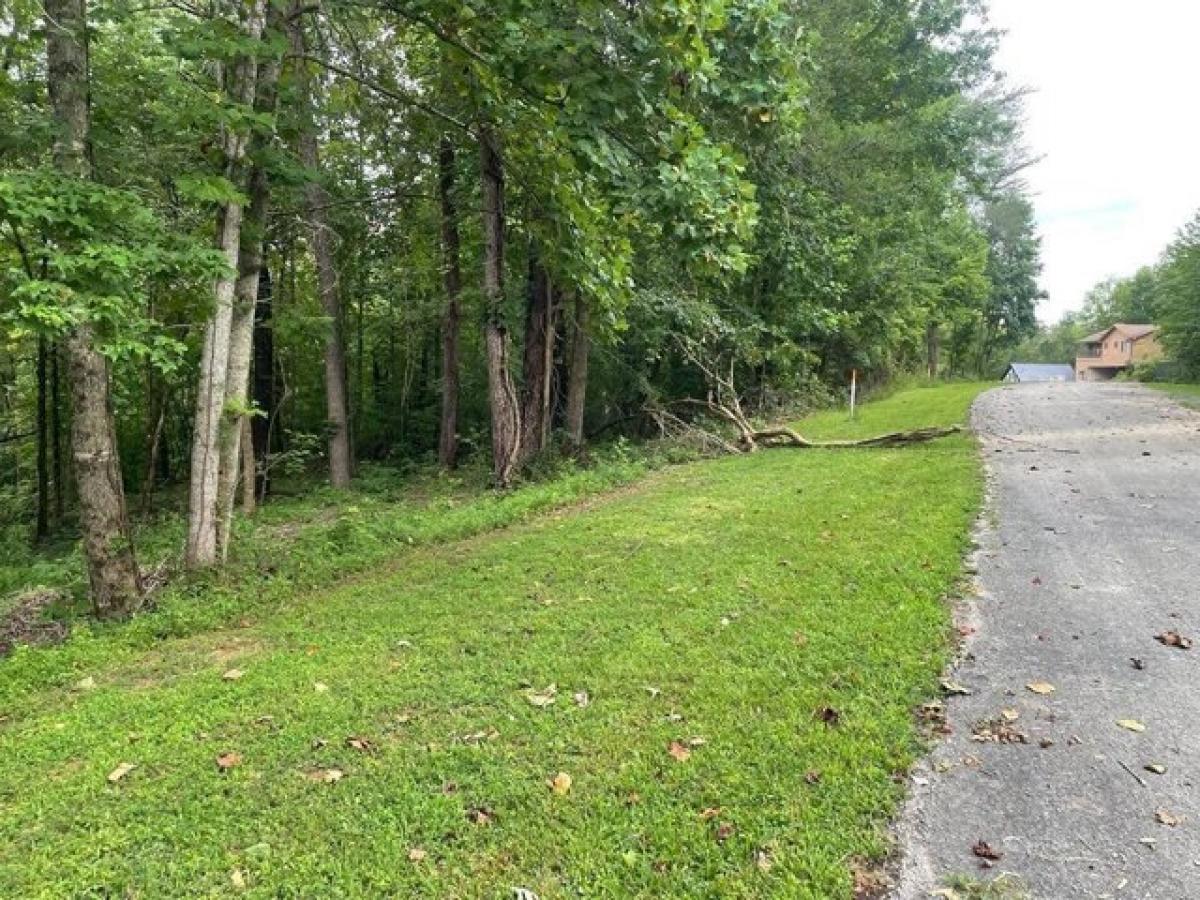 Picture of Residential Land For Sale in Albany, Kentucky, United States