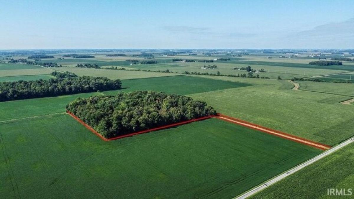 Picture of Residential Land For Sale in Sharpsville, Indiana, United States