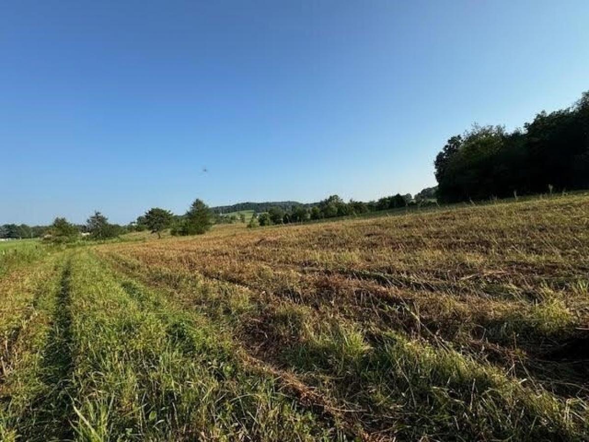 Picture of Residential Land For Sale in Cave City, Kentucky, United States