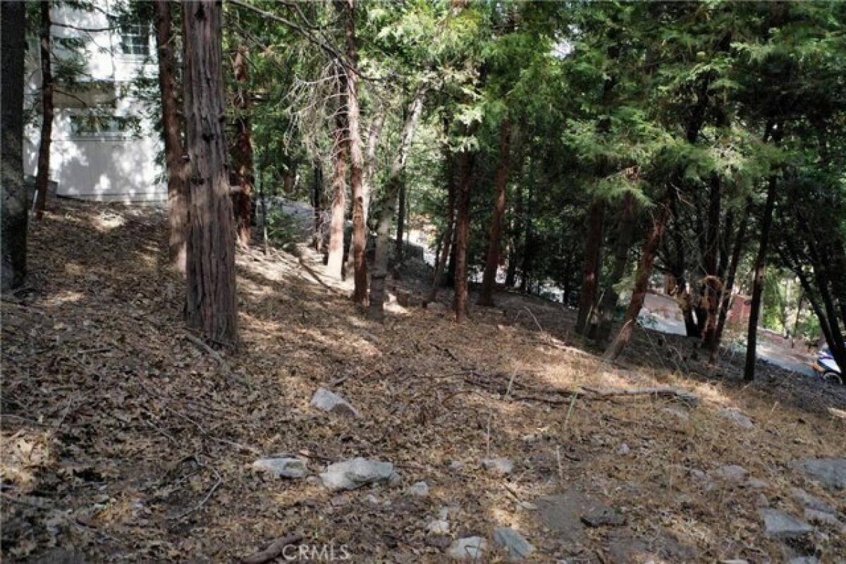 Picture of Residential Land For Sale in Crestline, California, United States