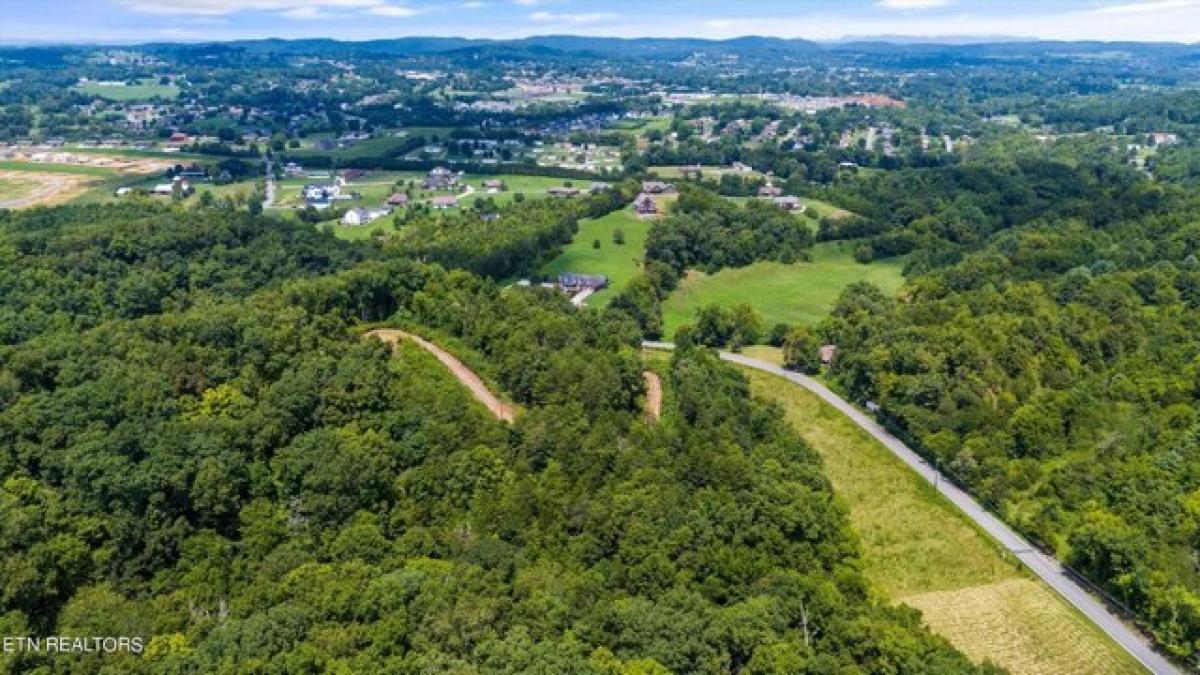 Picture of Residential Land For Sale in Seymour, Tennessee, United States