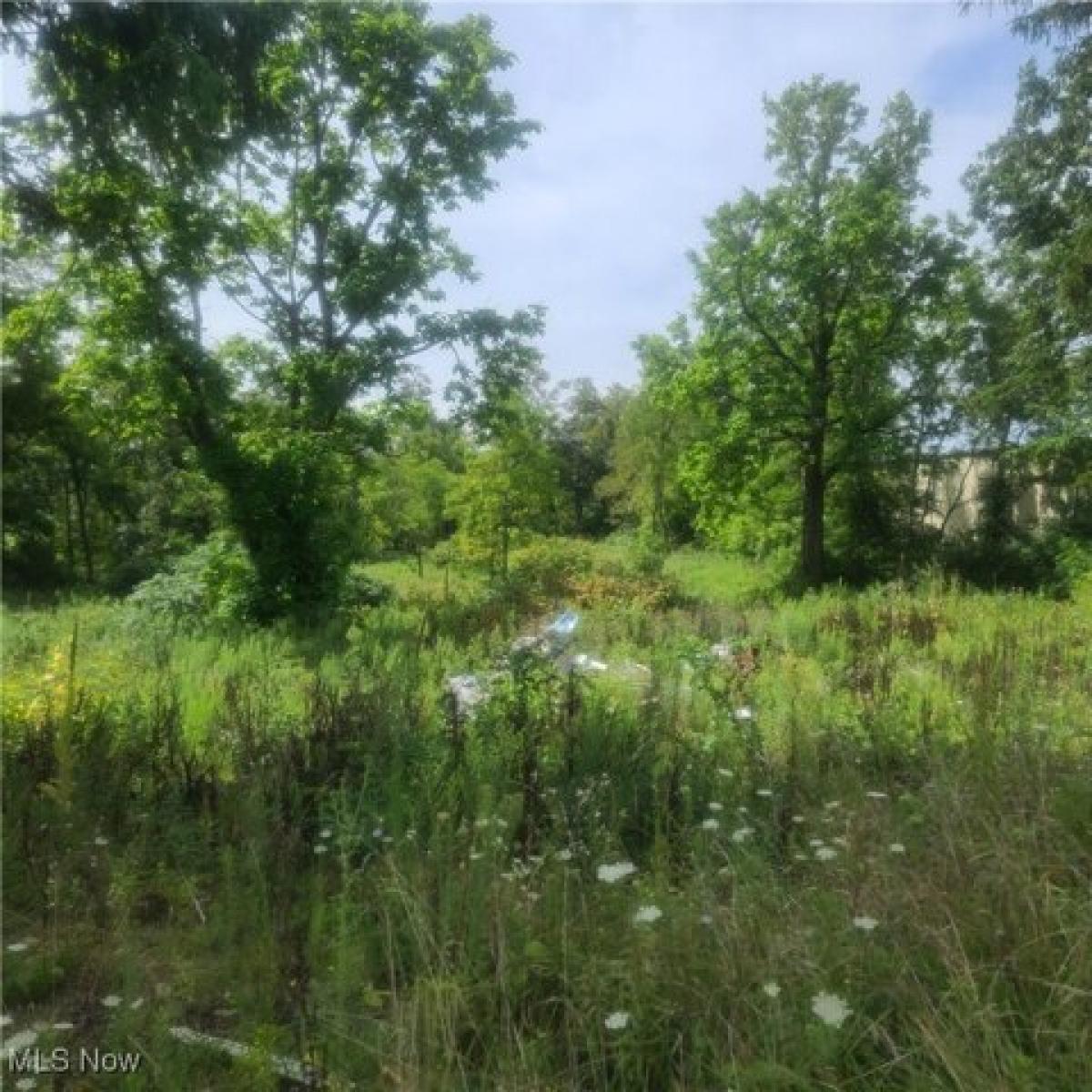 Picture of Residential Land For Sale in Bethesda, Ohio, United States