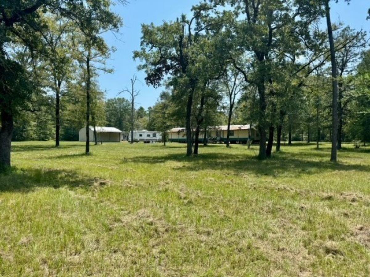 Picture of Residential Land For Sale in Lovelady, Texas, United States