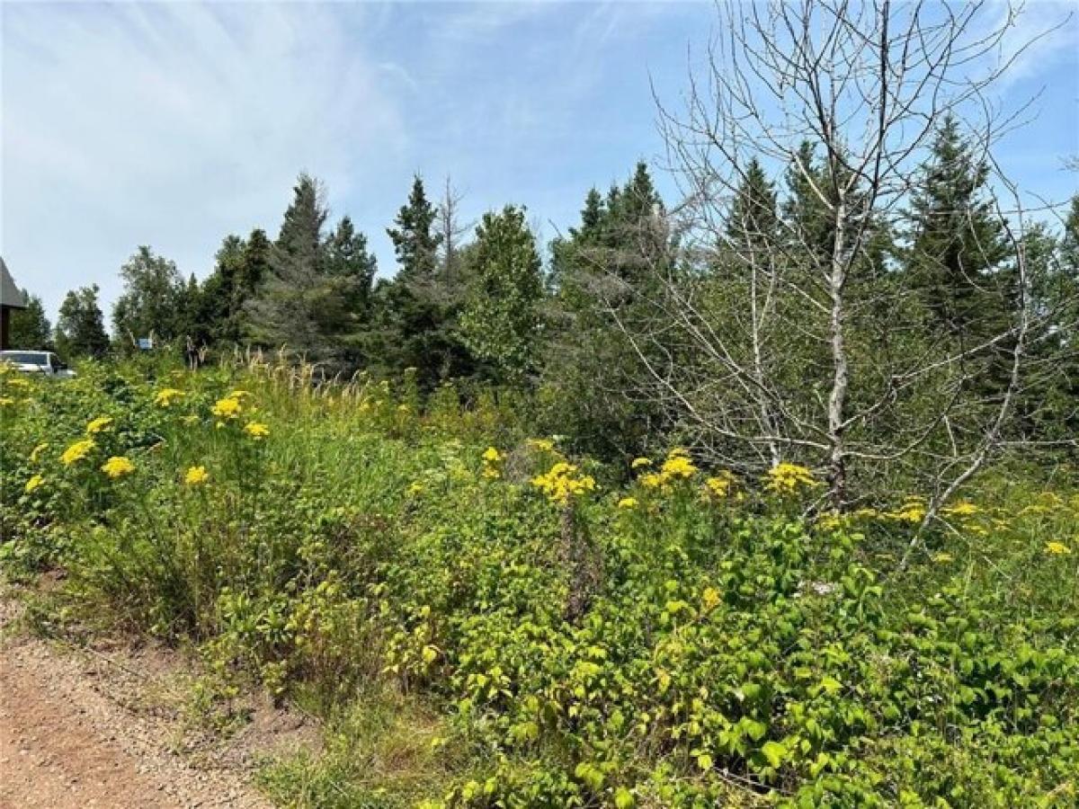 Picture of Residential Land For Sale in Two Harbors, Minnesota, United States