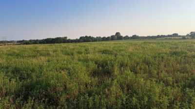 Residential Land For Sale in Rogersville, Missouri