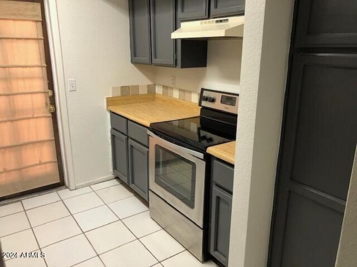 Picture of Apartment For Rent in Mesa, Arizona, United States