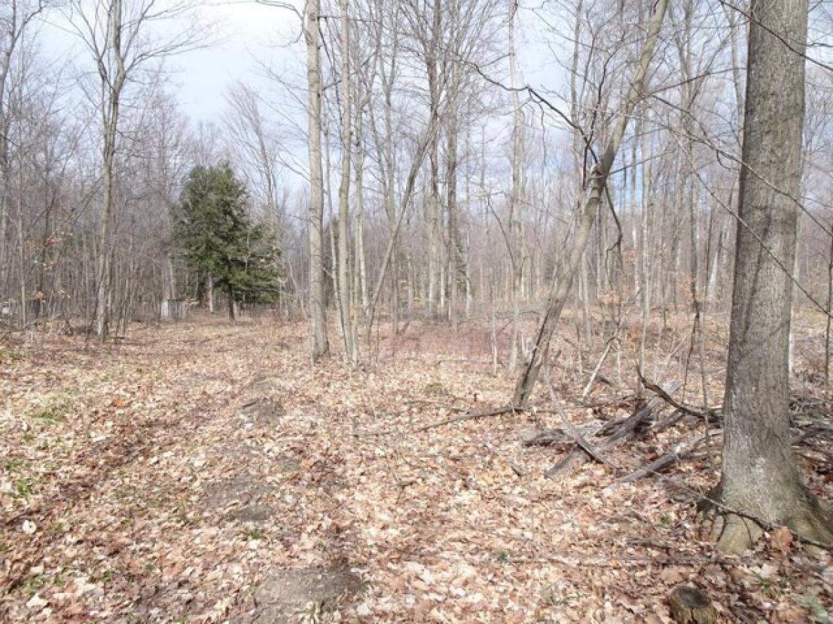 Picture of Residential Land For Sale in Bear Lake, Michigan, United States