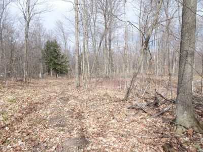 Residential Land For Sale in Bear Lake, Michigan