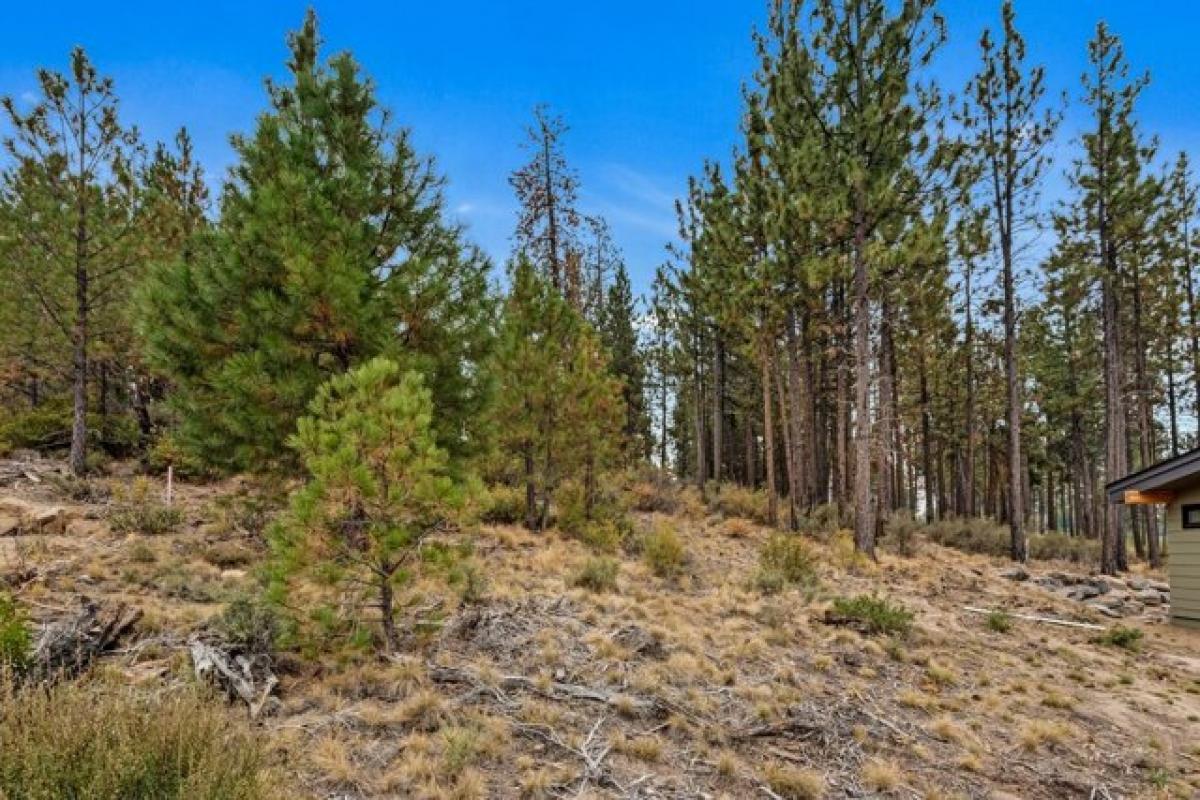 Picture of Residential Land For Sale in Bend, Oregon, United States