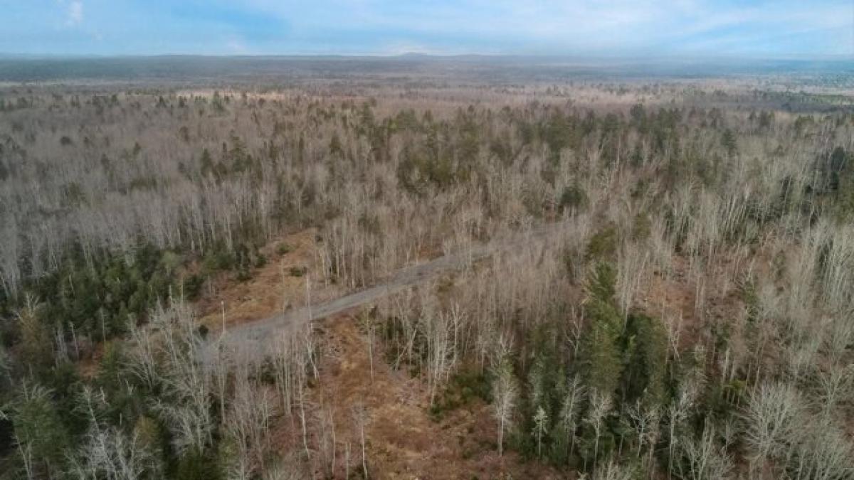 Picture of Residential Land For Sale in Hancock, Maine, United States