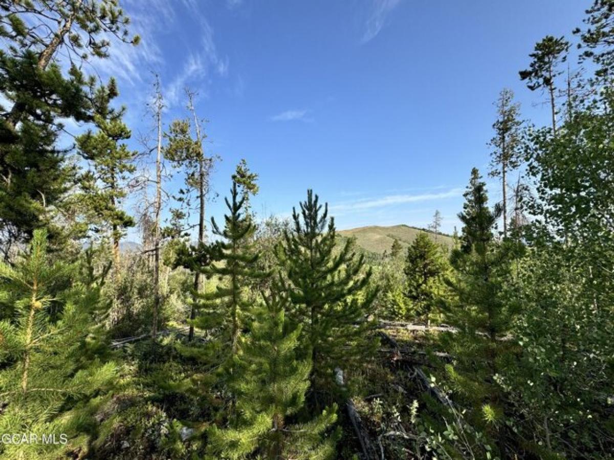 Picture of Residential Land For Sale in Granby, Colorado, United States