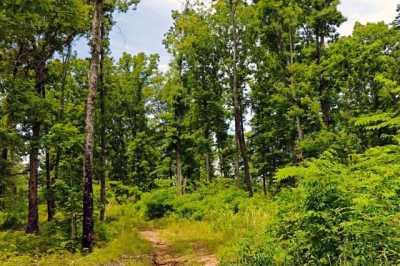 Residential Land For Sale in Vanleer, Tennessee