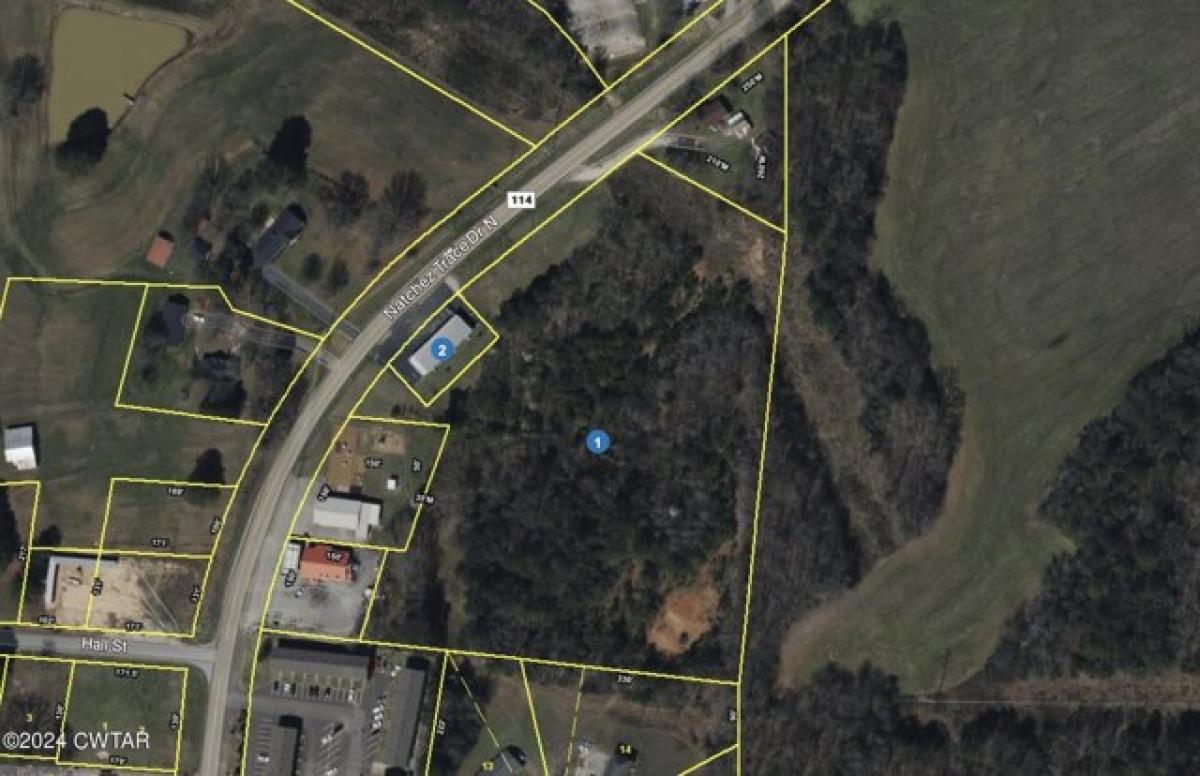 Picture of Residential Land For Sale in Lexington, Tennessee, United States