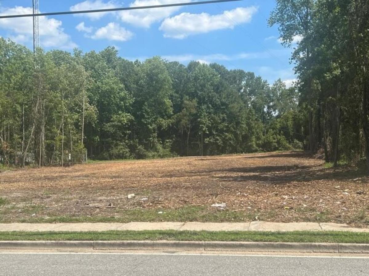 Picture of Residential Land For Sale in Thomasville, Georgia, United States