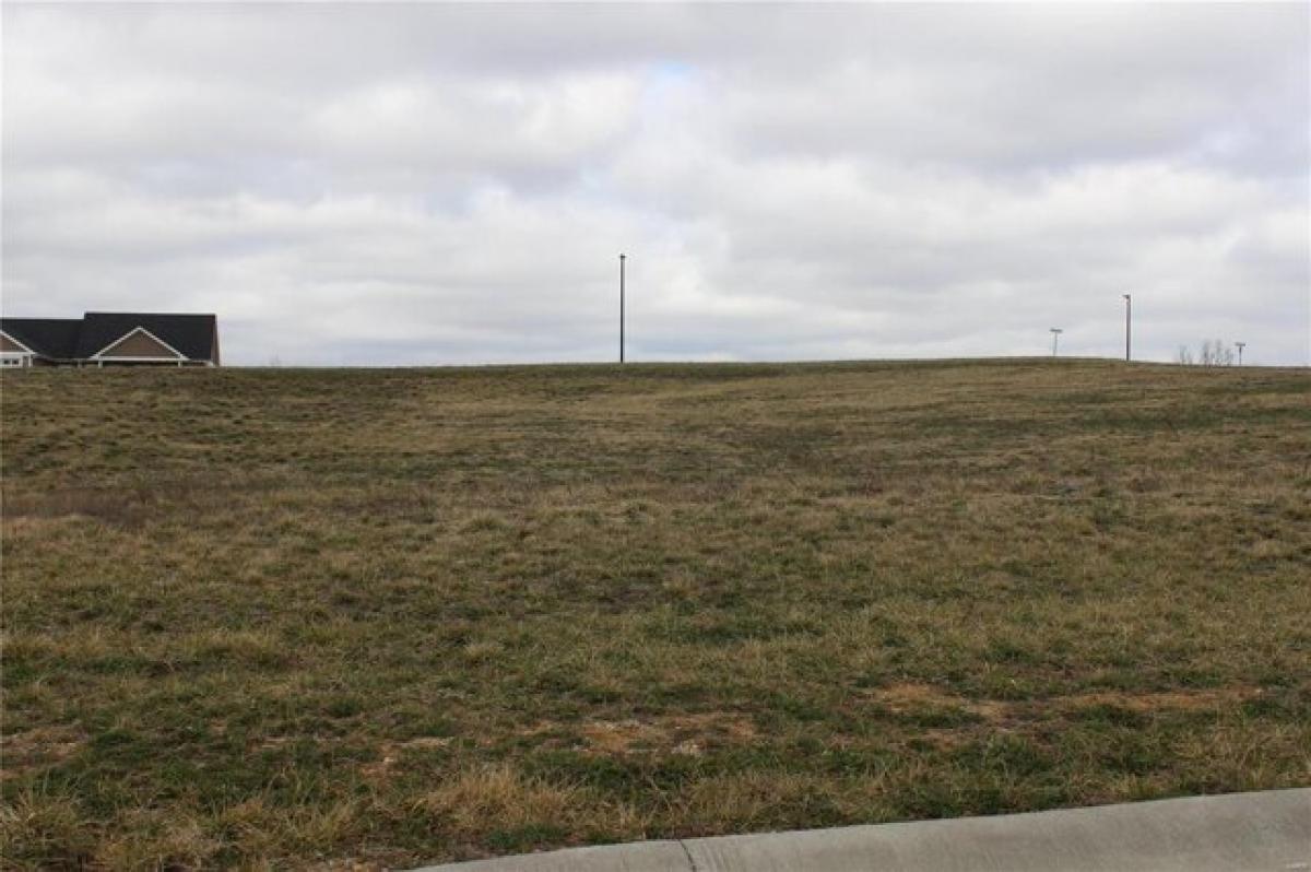 Picture of Residential Land For Sale in Hannibal, Missouri, United States