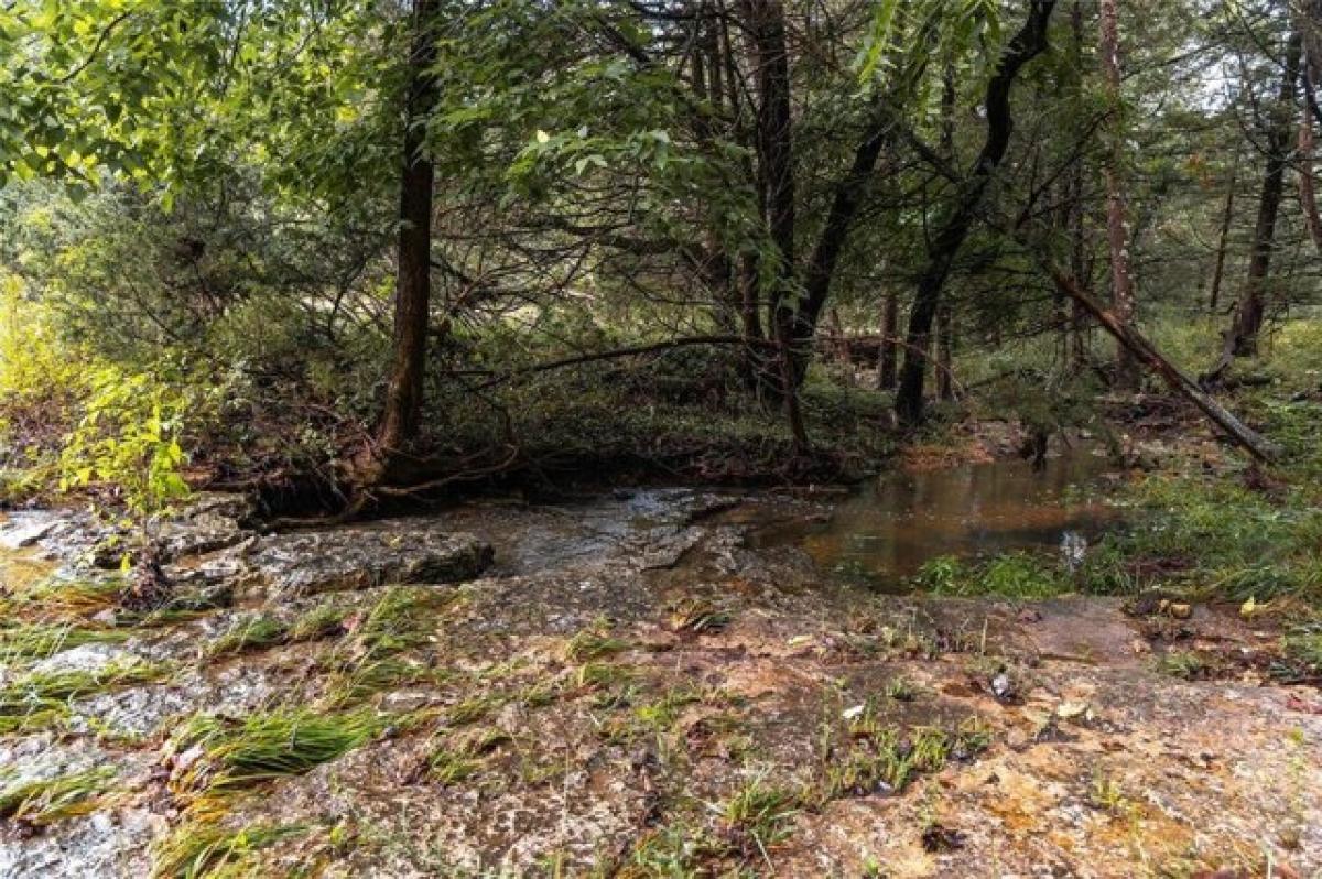 Picture of Residential Land For Sale in Freeburg, Missouri, United States