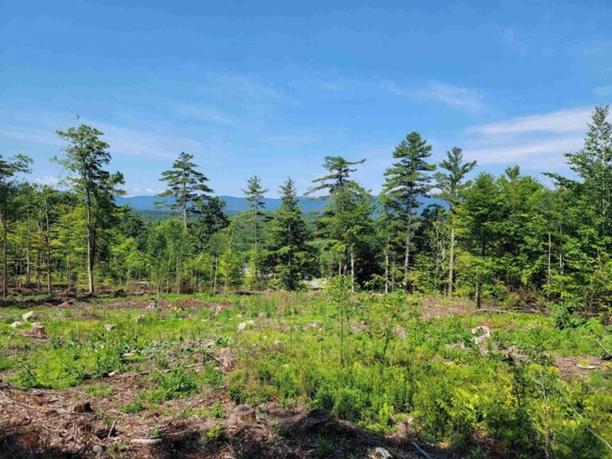 Picture of Residential Land For Sale in Bradford, New Hampshire, United States