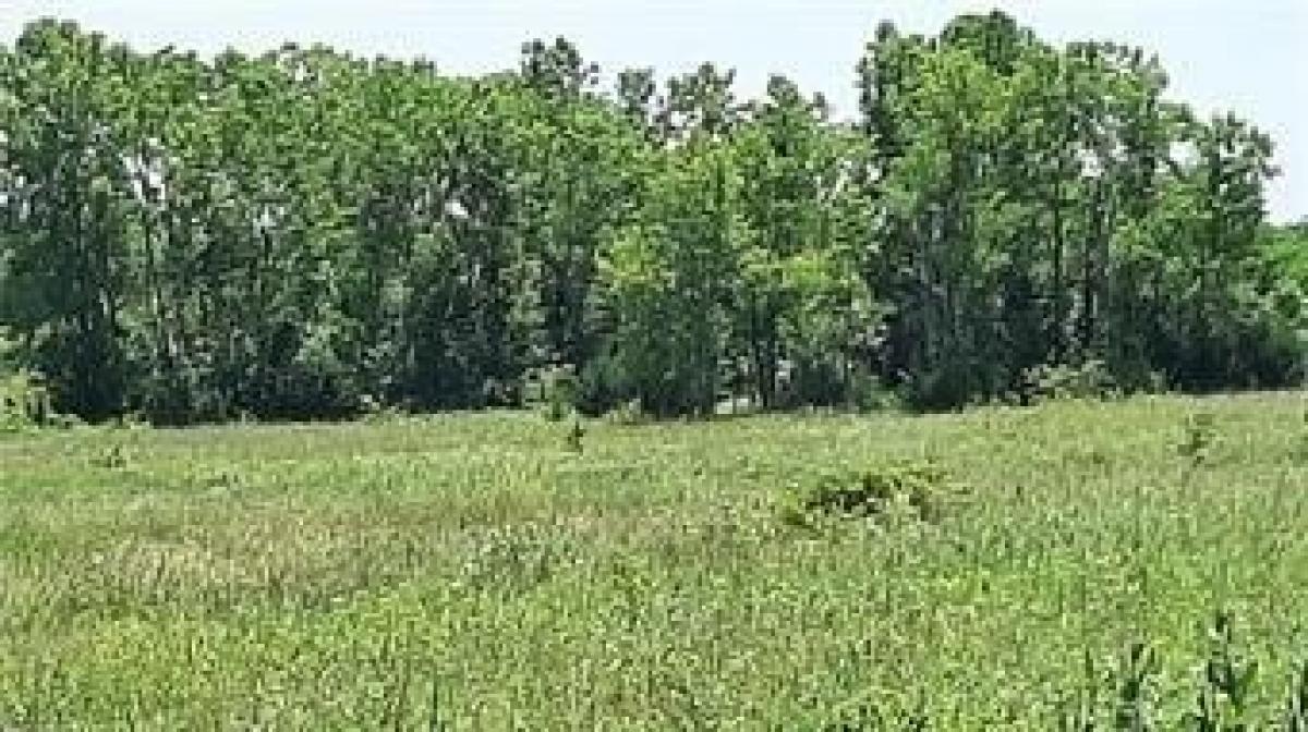 Picture of Residential Land For Sale in Louisburg, Kansas, United States