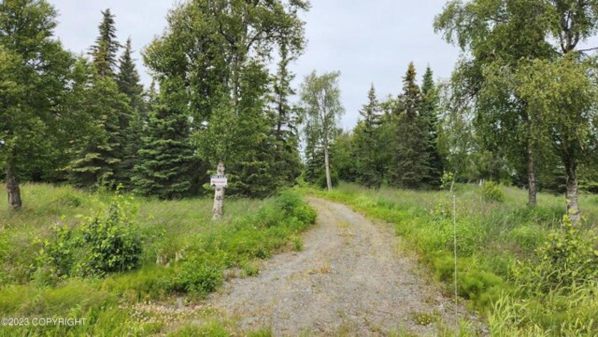 Picture of Residential Land For Sale in Clam Gulch, Alaska, United States