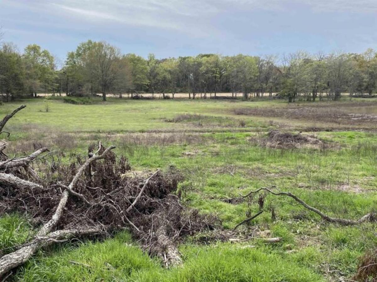 Picture of Residential Land For Sale in Mer Rouge, Louisiana, United States