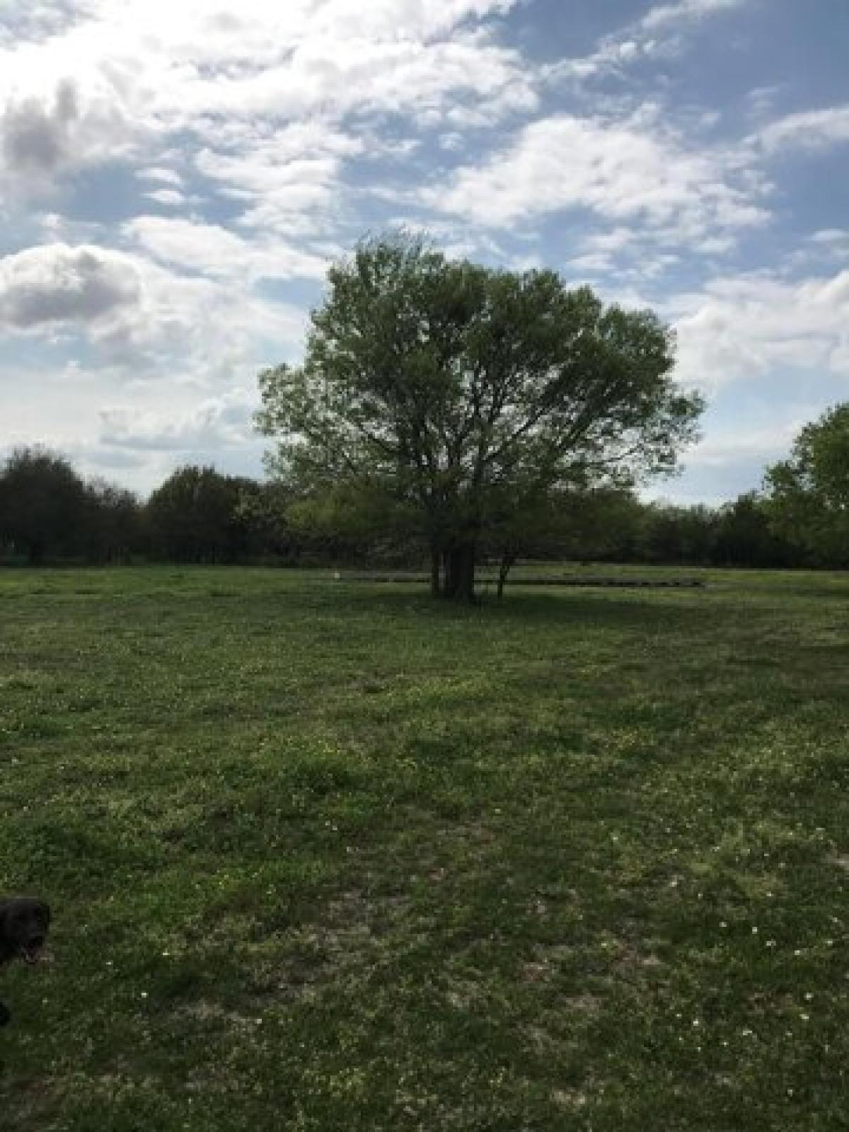 Picture of Residential Land For Sale in Kemp, Texas, United States