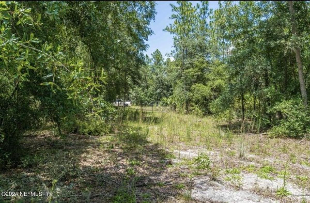 Picture of Residential Land For Sale in Palatka, Florida, United States