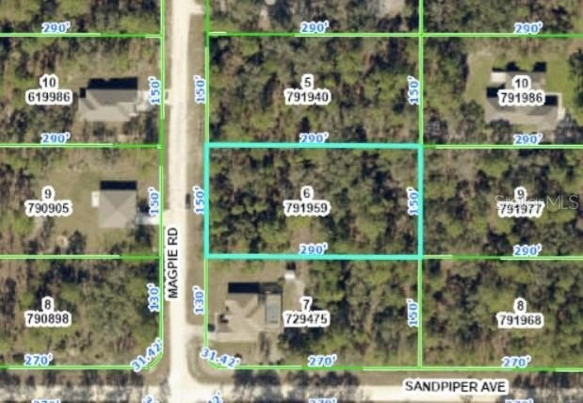 Picture of Residential Land For Sale in Weeki Wachee, Florida, United States