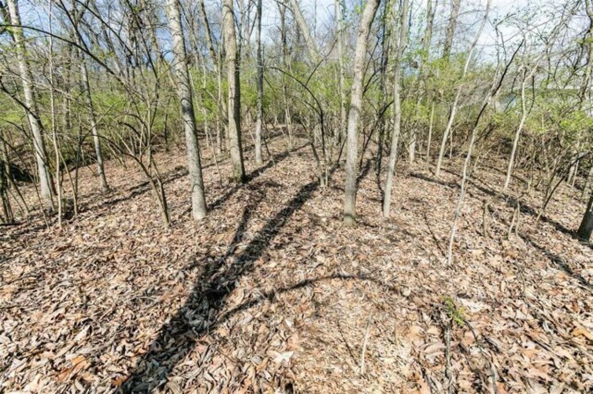 Picture of Residential Land For Sale in Valley Park, Missouri, United States