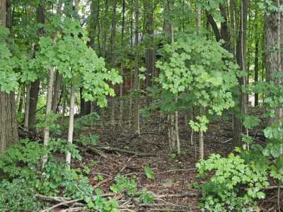 Residential Land For Sale in Muskego, Wisconsin